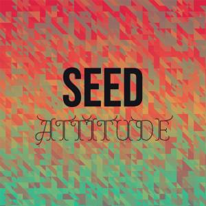 收听Elod Gris的Seed Attitude歌词歌曲