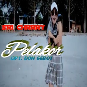 Listen to Pelakor song with lyrics from Sri Cherry
