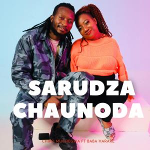 Sarudza Chaunoda (feat. Baba Harare)