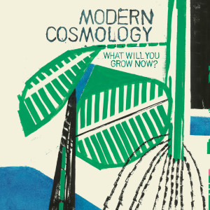 อัลบัม What Will You Grow Now? ศิลปิน Modern Cosmology