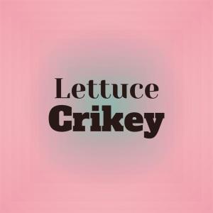 ดาวน์โหลดและฟังเพลง Lettuce Crikey พร้อมเนื้อเพลงจาก Awah