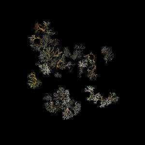 Dengarkan What To Do lagu dari deathcrash dengan lirik