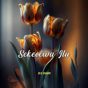DJ Didit的專輯Sekecewa Itu  (Remix )