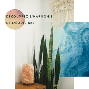 Listen to Bonté de soi song with lyrics from Yoga Guérison Oasis