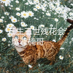 收聽魔尊楠哥的三生三世殘花會 (伴奏)歌詞歌曲