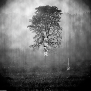 收聽丁文濤的棄佛入魔 (Dj默涵版) (完整版)歌詞歌曲