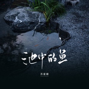 Album 池中的鱼 from 苏星婕