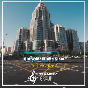 Album Old Wonderland Slow (Remix) from DJ UCOK RMX