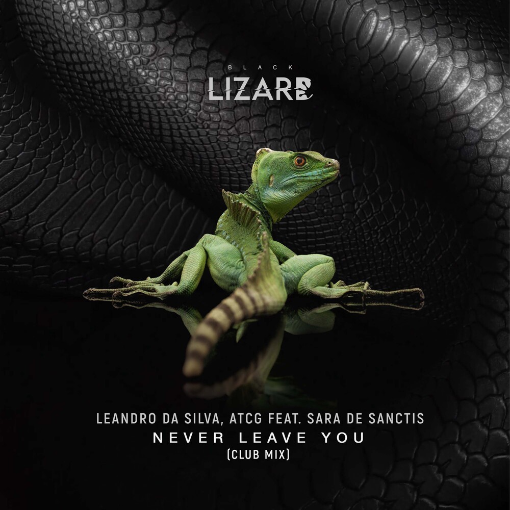 Never Leave You (Uh Oh) (Club Mix)