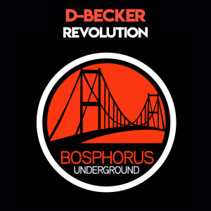 Listen to Revolution song with lyrics from D-Becker