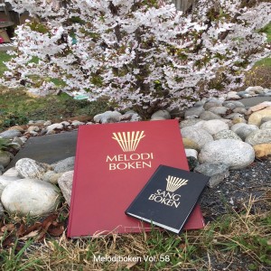 ดาวน์โหลดและฟังเพลง Jeg vet meg en søvn พร้อมเนื้อเพลงจาก Johan Muren