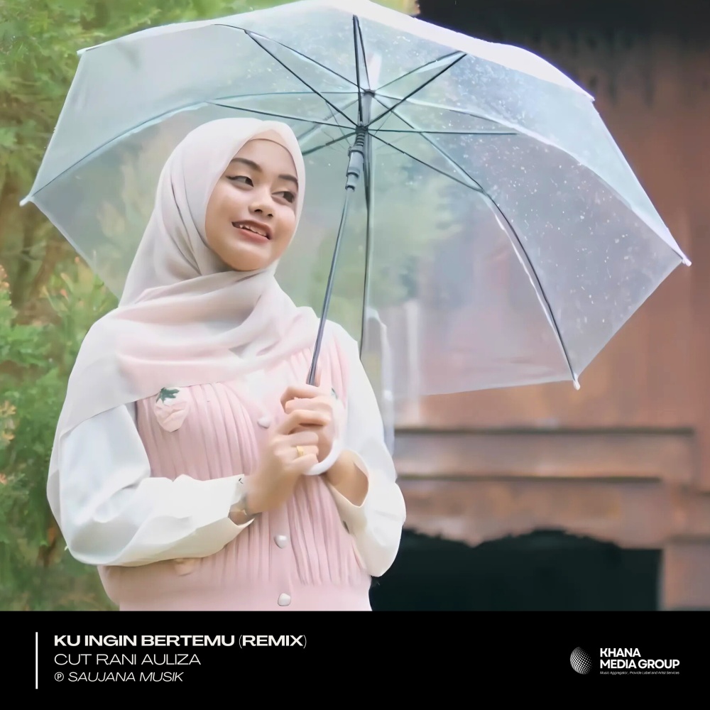 Ku Ingin Bertemu (Remix)