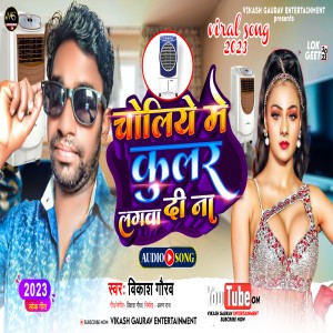 收聽Vikash Gaurav的Choliye Me Kular Lagawa Di Na (Bhojpuri)歌詞歌曲