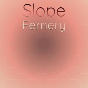 Album Slope Fernery oleh Various