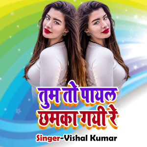 收听Vishal Kumar的Tum to Payal Chhamka Gayi Re歌词歌曲