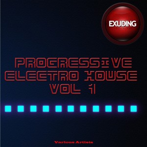 อัลบัม Progressive Electro House, Vol. 1 ศิลปิน Various