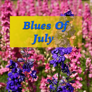 Album Blues Of July from Various