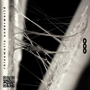 收聽Voronoiz Productions的Ritual Under the Rainbow (feat. CinderVOMIT)歌詞歌曲