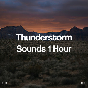 Album "!!! Thunderstorm Sounds 1 Hour !!!" from Sounds Of Nature : Thunderstorm, Rain