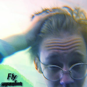 ดาวน์โหลดและฟังเพลง Fly พร้อมเนื้อเพลงจาก skygridfunk