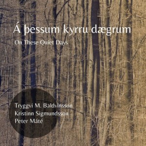 Listen to Vornótt. Kyrrð. Og nú sofa song with lyrics from Tryggvi M. Baldvinsson