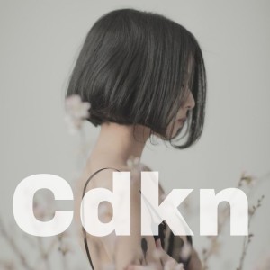 收聽Tuan Minh的Cdkn歌詞歌曲