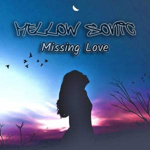 Listen to Missing Love (Redux Mix) song with lyrics from Mellow Sonic