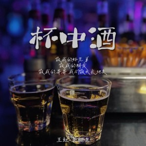 王虹-王棚主的專輯杯中酒