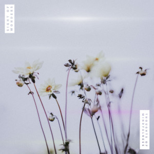 Album Thoughts of Mindfulness from Sight of Wonders