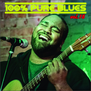 Album 100% Pure Blues, Vol. 15 oleh Various