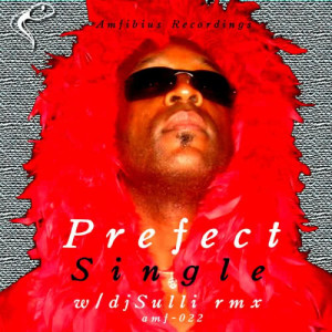 Prefect aka Robb Jeter的專輯Single