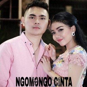Listen to Ngomongo Cinta song with lyrics from Nanda Feraro