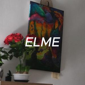 อัลบัม ELME (Explicit) ศิลปิน Morgana