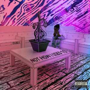 TruBlu的专辑Not How I Used To (Explicit)