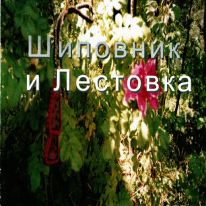 收聽Шиповник и Лестовка的Gun歌詞歌曲
