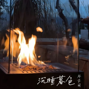 Album 沉睡暮色 from 林苏闻