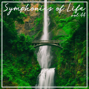 Symphonies of Life, Vol. 44 - Brahms: 41 Lieder dari Mitsuko Shirai