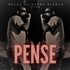 收聽maceo el perro blanco live的pense (live)歌詞歌曲