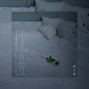 Dengarkan lagu 枕边 nyanyian 林子博 dengan lirik