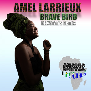 อัลบัม BRAVE BIRD (Kek'star's Remix) ศิลปิน Amel Larrieux