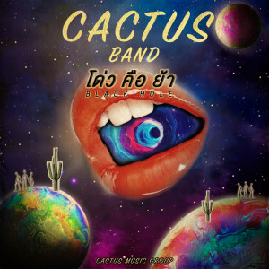 อัลบัม โด่วคือย้า (Instrumental) ศิลปิน Cactus Band