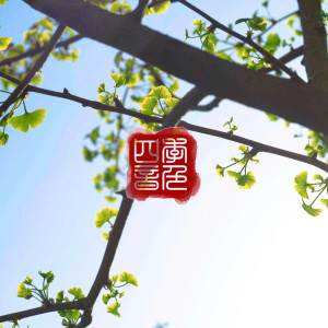 收聽四季音色的仲夏歌詞歌曲