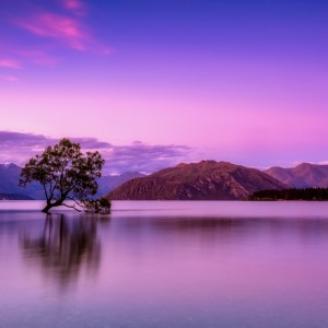 Dengarkan lagu Whole Body Healing nyanyian Noelia Gabasa dengan lirik