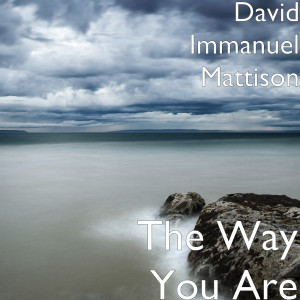 Dengarkan The Way You Are (Explicit) lagu dari David Immanuel Mattison dengan lirik