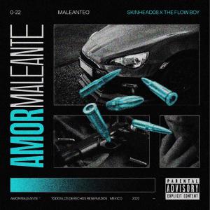 ดาวน์โหลดและฟังเพลง Amor Maleante (feat. The flow boy) (Explicit) พร้อมเนื้อเพลงจาก skinhead 08