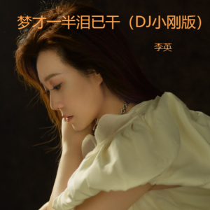 李英的專輯夢才一半淚已幹（DJ小剛版）
