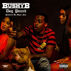 收聽Bushy B的Dog Pound (Explicit)歌詞歌曲