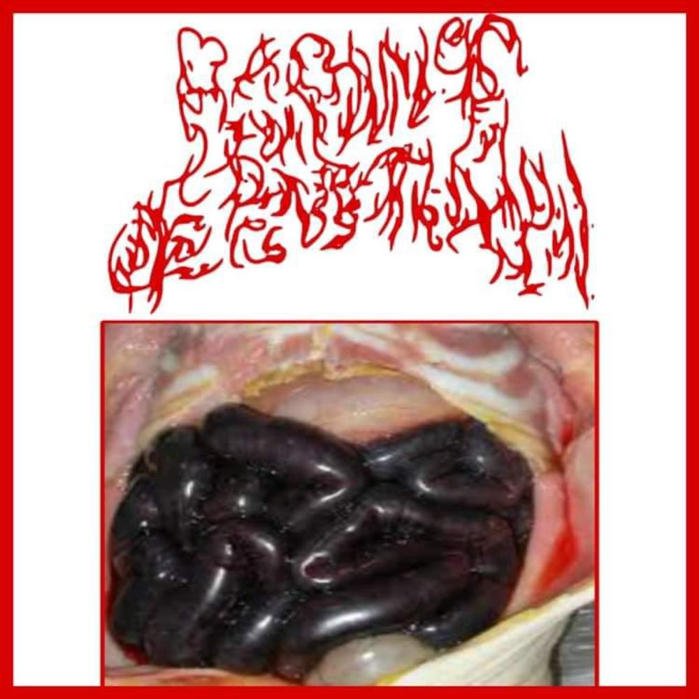 Periodontitis Infected Piss Mouth (Explicit)