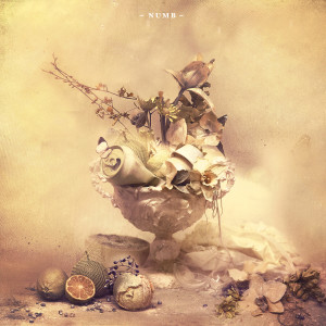 ดาวน์โหลดและฟังเพลง Numb พร้อมเนื้อเพลงจาก KRANE