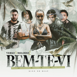 Listen to Verso e Melodia #2 - Bem-Te-Vi song with lyrics from Kadri